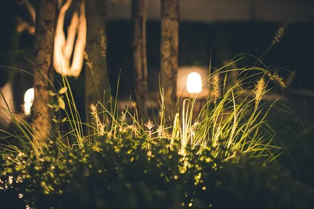 eclairages jardin nuit seve paysage