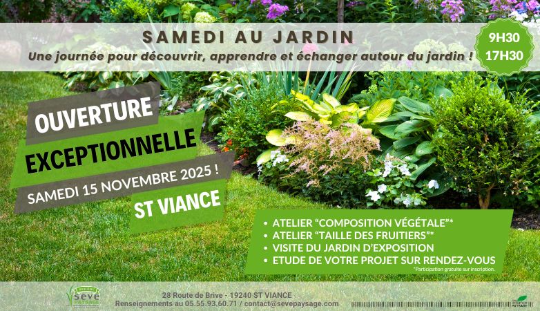 image mise en avant site internet (1)