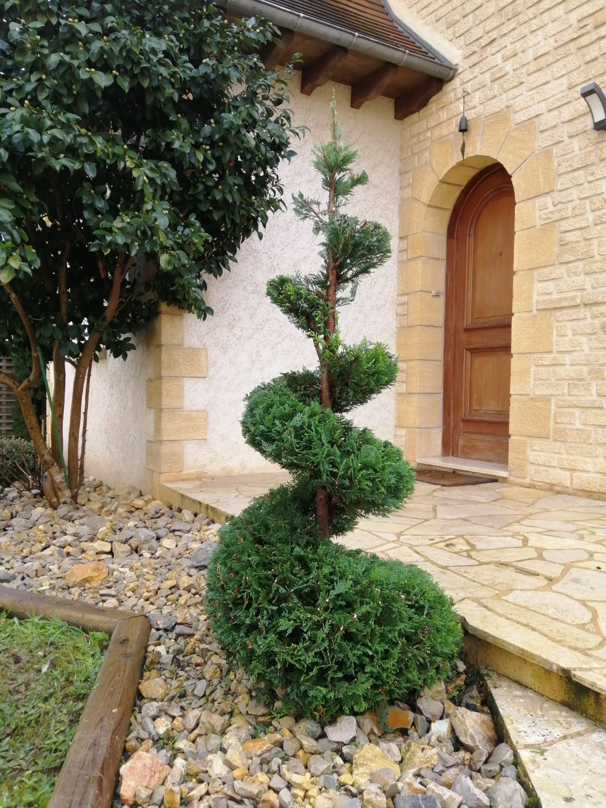 photo