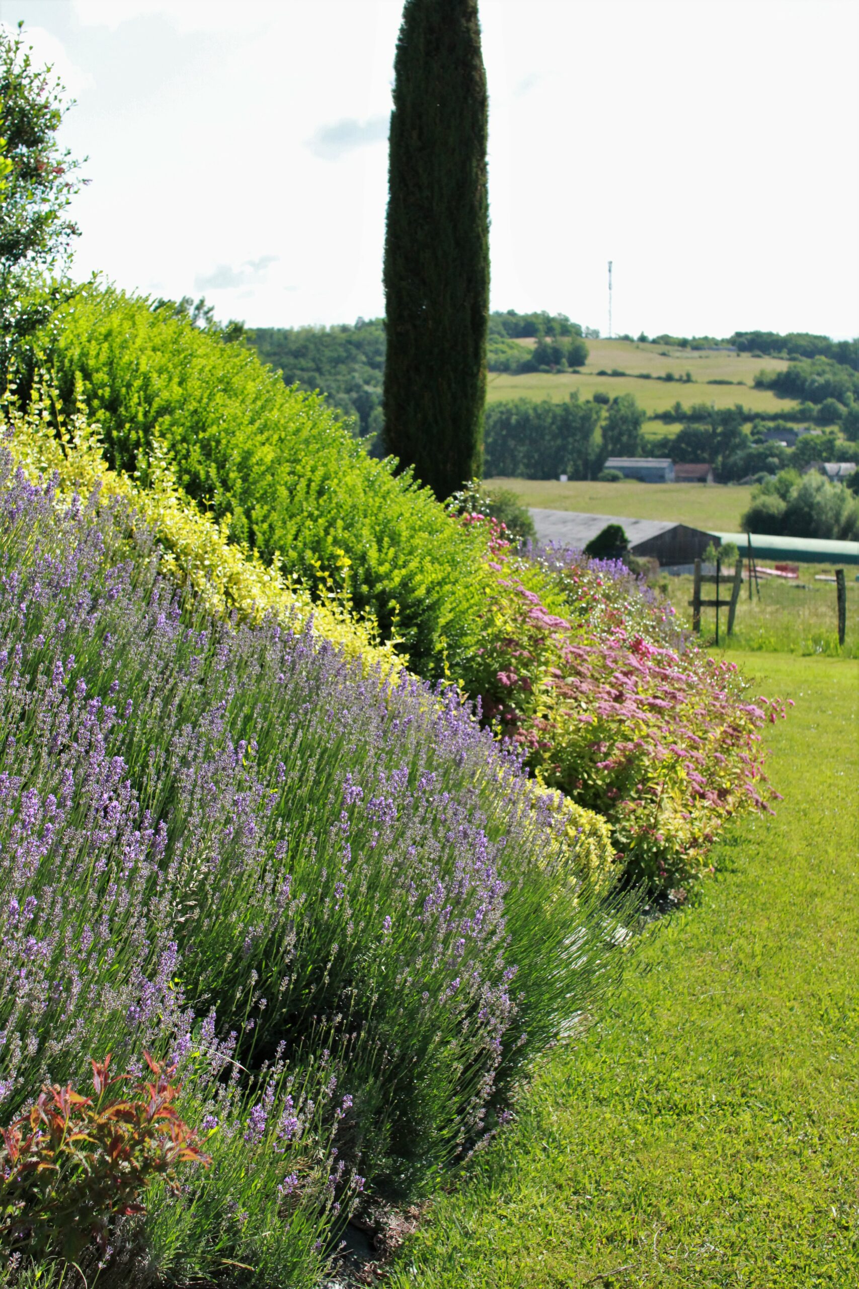 Plantations talus - Brive