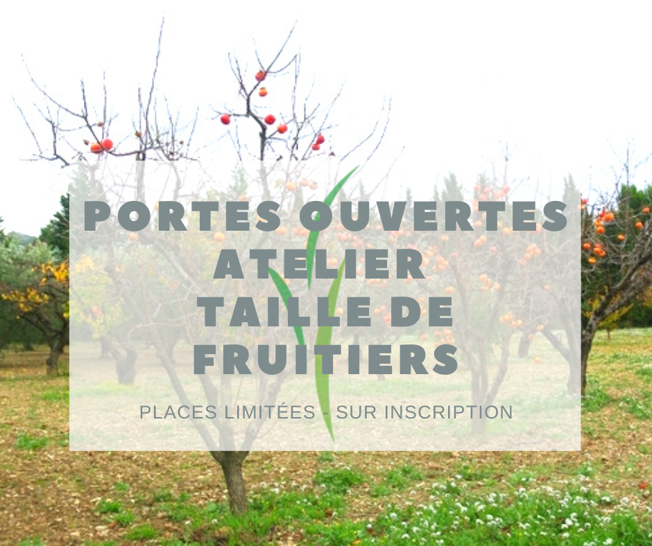 Atelier Taille fruitiers