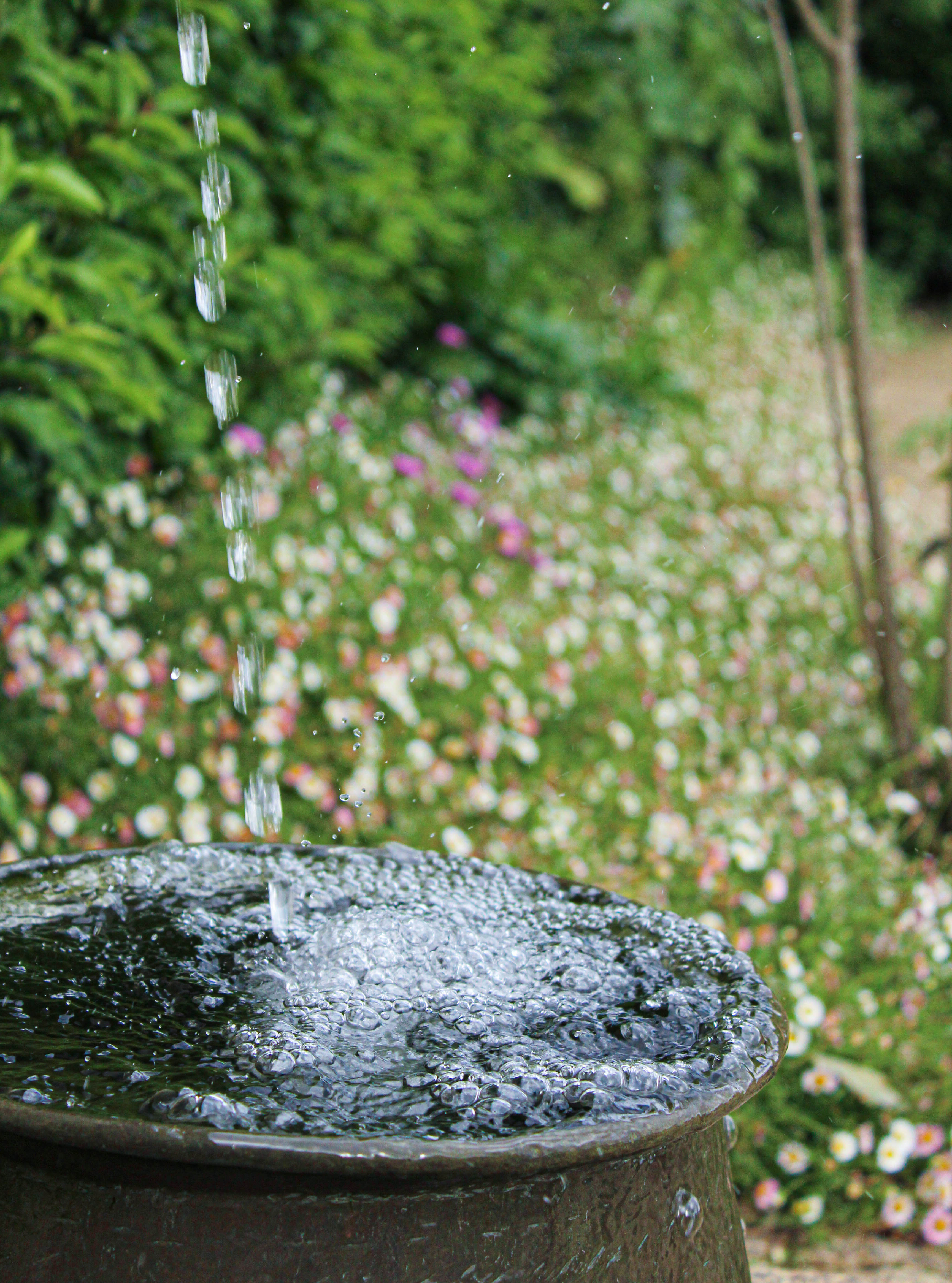 Bruit de l'eau au jardin