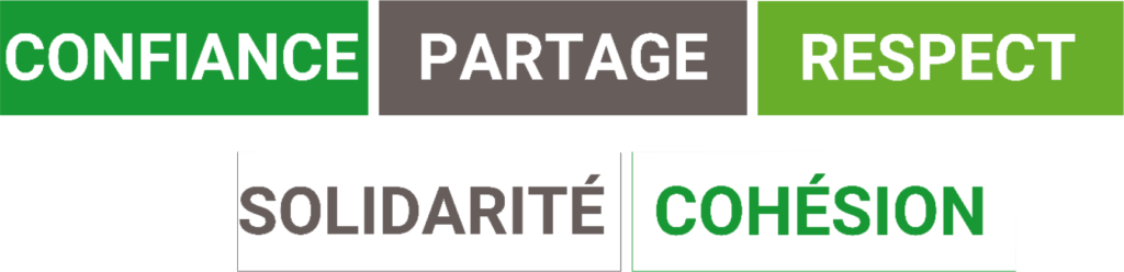 Valeurs de l’entreprise SEVE Paysage Votre paysagiste en Corrèze recrute
