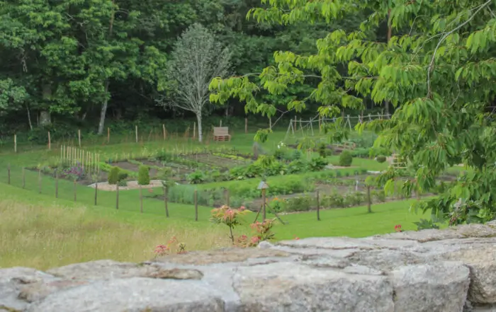 IMG 0700 700x441